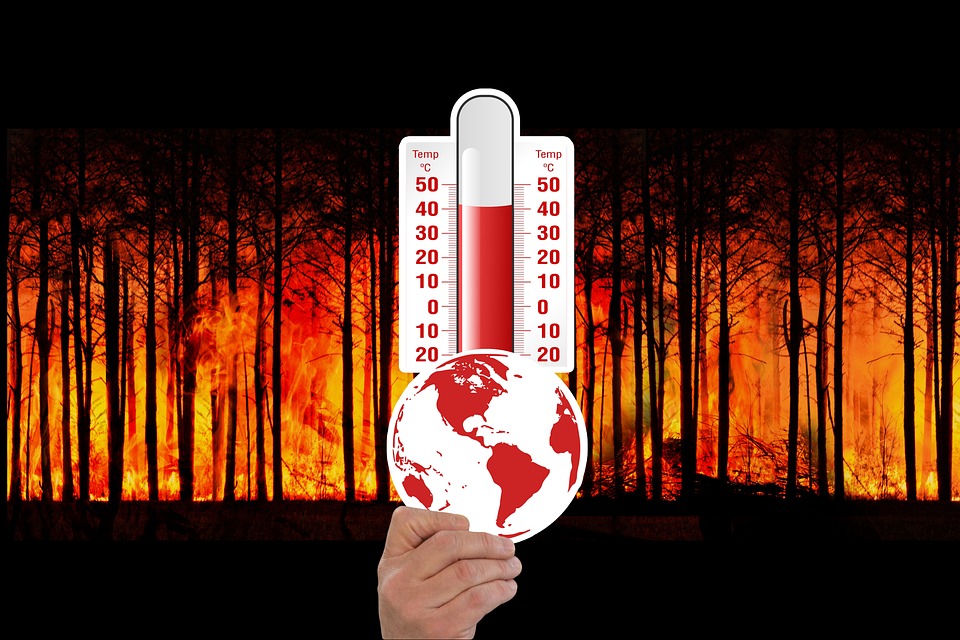 "Asia and Global Sports Highlights: Last 24 Hours Recap" 05/14/2026 1 climate change 3836835 960 720