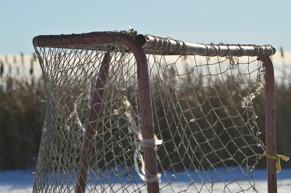 hockey net 1116006 960 720