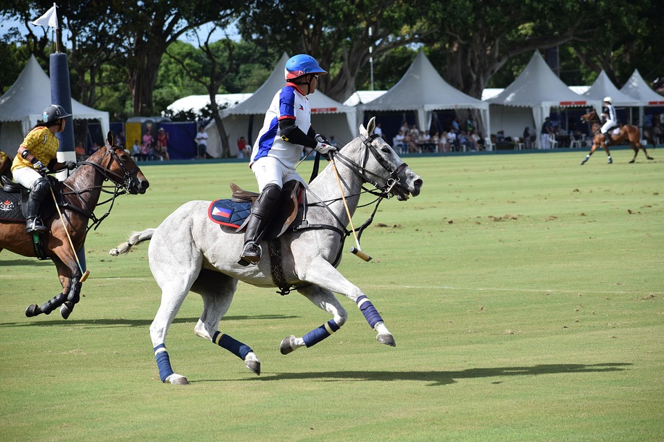 Recent Developments in Polo: Last Week's Highlights 05/10/2026 1 polo 4670151 960 720