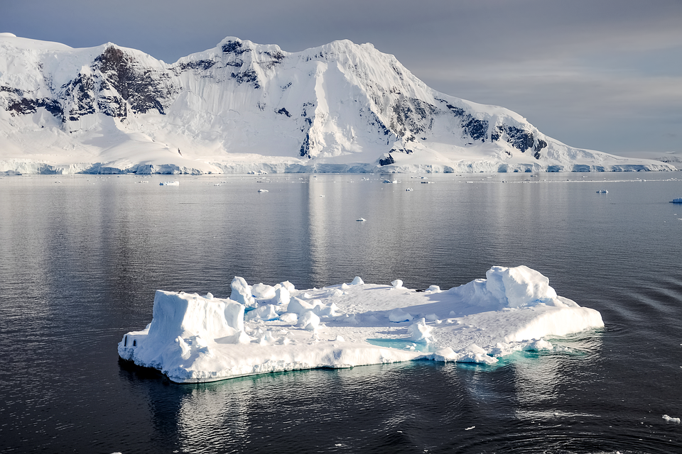 Ice Hockey Highlights: Last 24 Hours Recap 07/15/2026 1 antarctica 8012488 960 720