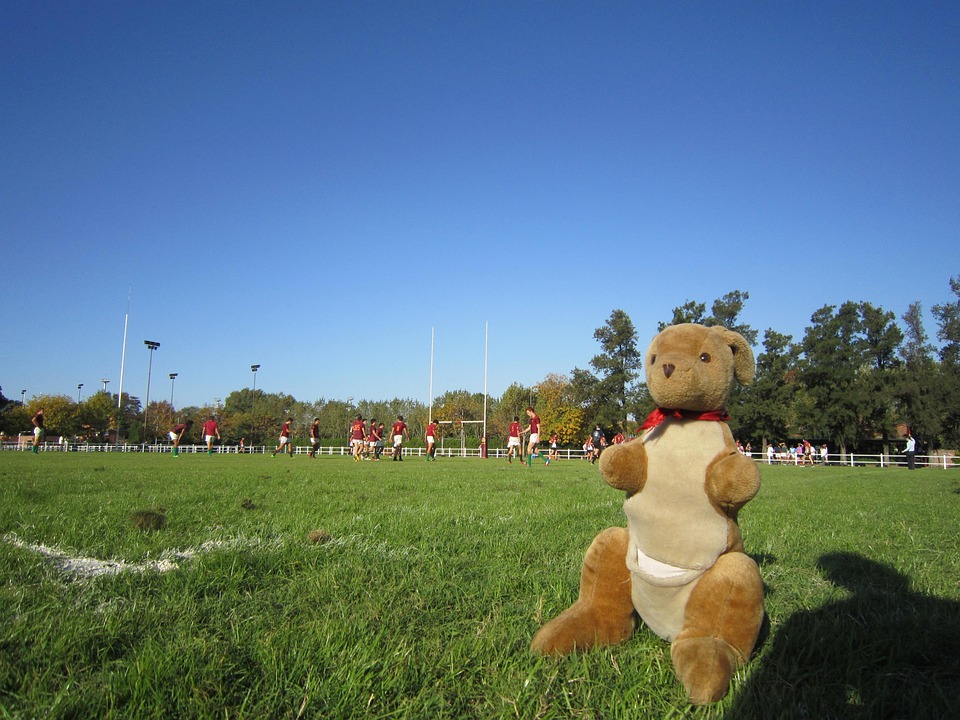 Rugby Highlights: Last Week's Key Events 07/12/2026 1 kangaroo 440041 960 720