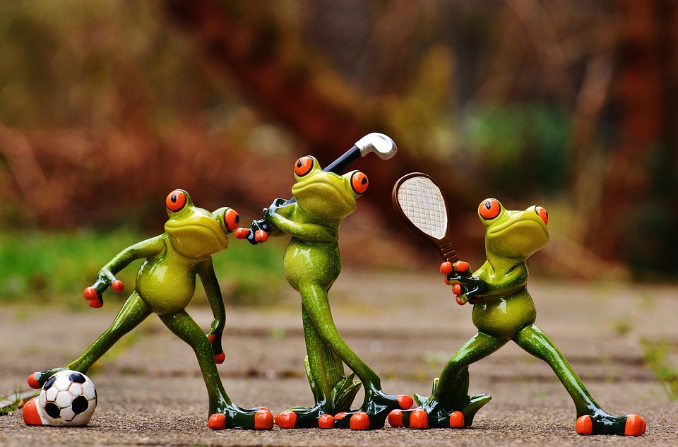 frogs 1212209 960 720