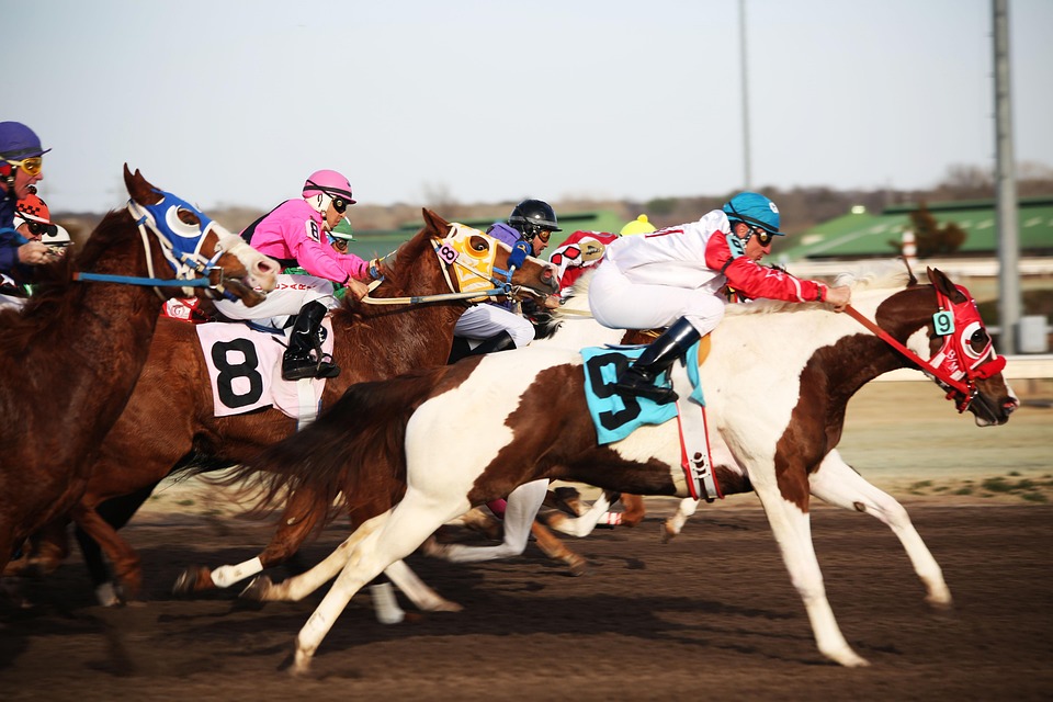 horses 2523301 960 720