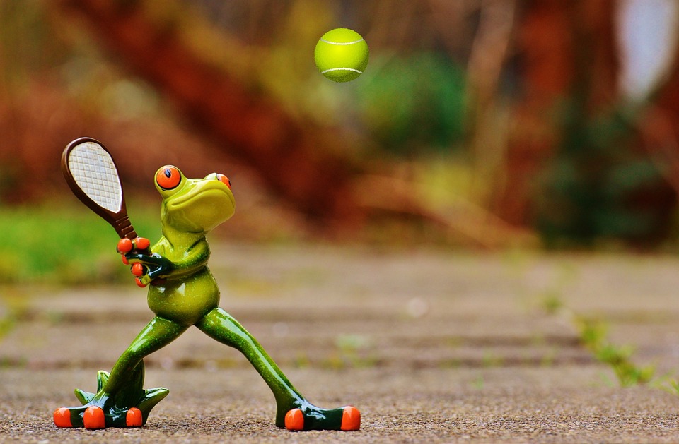 frog 1212392 960 720