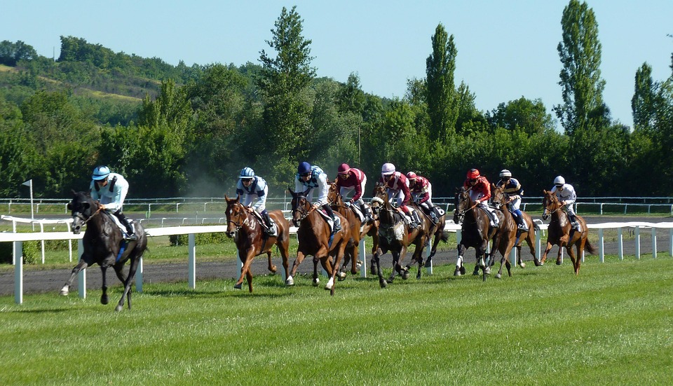 horse race 1665688 960 720