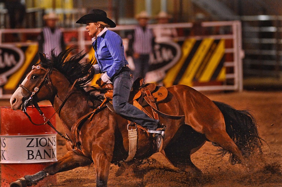 rodeo 3729189 960 720