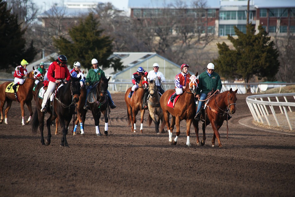 horses 2523297 960 720