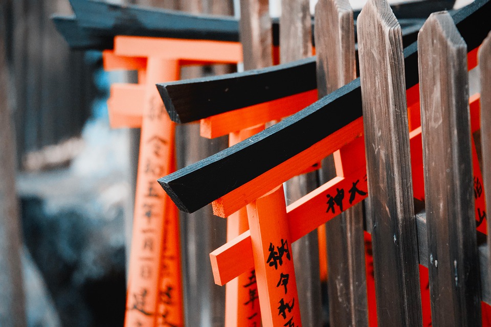 torii 8254663 960 720