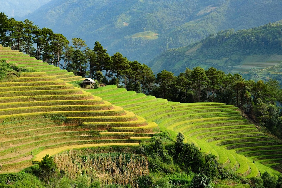 vietnam 8400803 960 720